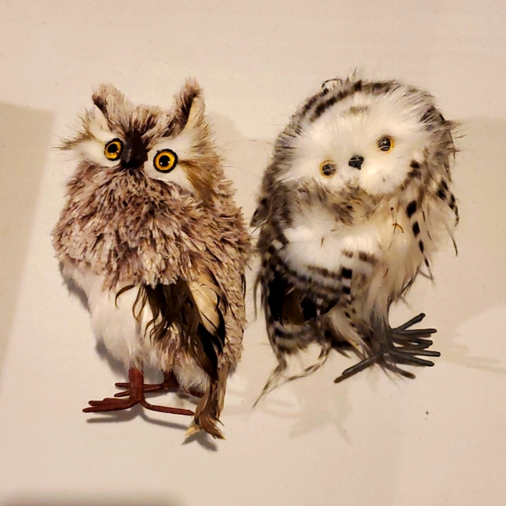 Feathery owl statues